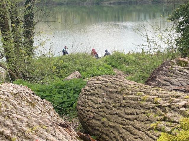 Au Chateau Saint Blaise Virignin Exteriér fotografie