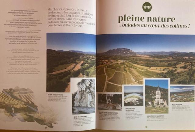 Au Chateau Saint Blaise Virignin Exteriér fotografie